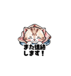 【敬語で挨拶】ネコの使いやすいスタンプ（個別スタンプ：14）