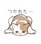 今日もねこ日和（個別スタンプ：26）