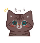 今日もねこ日和（個別スタンプ：31）