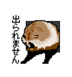 ドットのたぬき4（個別スタンプ：1）