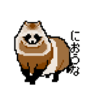 ドットのたぬき4（個別スタンプ：5）