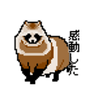 ドットのたぬき4（個別スタンプ：6）