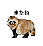 ドットのたぬき4（個別スタンプ：7）