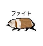 ドットのたぬき4（個別スタンプ：9）