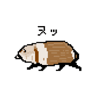 ドットのたぬき4（個別スタンプ：10）