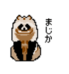 ドットのたぬき4（個別スタンプ：13）