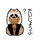 ドットのたぬき4（個別スタンプ：14）