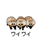ドットのたぬき4（個別スタンプ：19）