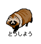 ドットのたぬき4（個別スタンプ：24）