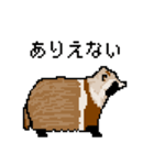 ドットのたぬき4（個別スタンプ：27）