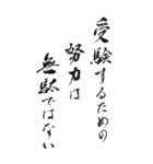 入試試験 2025年 三好一族（個別スタンプ：12）