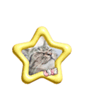 うちのコStamp4（個別スタンプ：14）