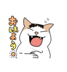 愛すべきねこたち（個別スタンプ：1）