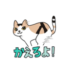 愛すべきねこたち（個別スタンプ：11）