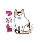 愛すべきねこたち（個別スタンプ：12）