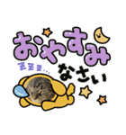 ねこx4（個別スタンプ：28）
