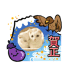 ねこx4（個別スタンプ：32）
