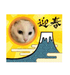 ねこx4（個別スタンプ：33）