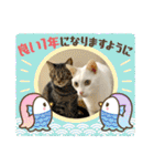 ねこx4（個別スタンプ：36）