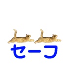 みーさんちのにゃんこたち3（個別スタンプ：35）