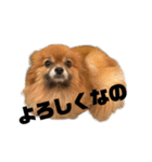 ぽんハニ劇場（個別スタンプ：9）