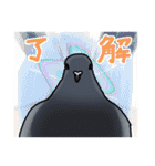 ハト図鑑1鳩（個別スタンプ：37）