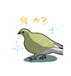 ハト図鑑1鳩（個別スタンプ：38）