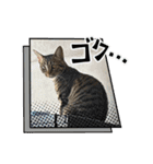 ぐっちゃまスタンプ（個別スタンプ：8）