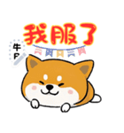 Super Cute happy dog（個別スタンプ：4）