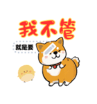 Super Cute happy dog（個別スタンプ：5）