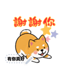 Super Cute happy dog（個別スタンプ：12）