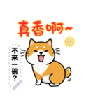 Super Cute happy dog（個別スタンプ：13）