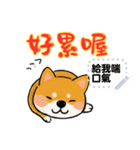 Super Cute happy dog（個別スタンプ：17）