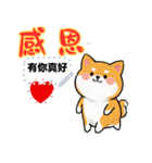 Super Cute happy dog（個別スタンプ：23）