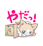 ラグドール猫の毎日使えて便利なスタンプ（個別スタンプ：28）