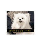 使いやすい動く犬（個別スタンプ：1）