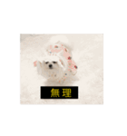 使いやすい動く犬（個別スタンプ：10）