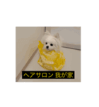 使いやすい動く犬（個別スタンプ：15）