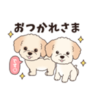 飛び出す‼犬スタンプ＃6『マルプー』（個別スタンプ：9）