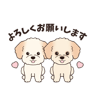 飛び出す‼犬スタンプ＃6『マルプー』（個別スタンプ：16）