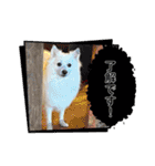 すぴっつの事情（個別スタンプ：2）