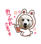 すぴっつの事情（個別スタンプ：17）