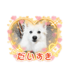 すぴっつの事情（個別スタンプ：18）