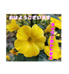 冬の山野草たち（個別スタンプ：12）