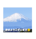 冬の山野草たち（個別スタンプ：21）
