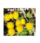 冬の山野草たち（個別スタンプ：27）