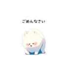 あざといポメラニアン（個別スタンプ：1）