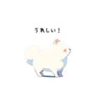 あざといポメラニアン（個別スタンプ：19）