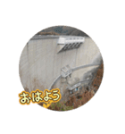 ダム大好きスタンプ（個別スタンプ：1）