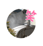 ダム大好きスタンプ（個別スタンプ：10）
